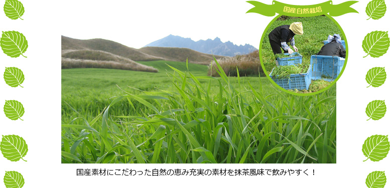 国産素材にこだわった自然の恵み充実の素材を抹茶風味で飲みやすく！