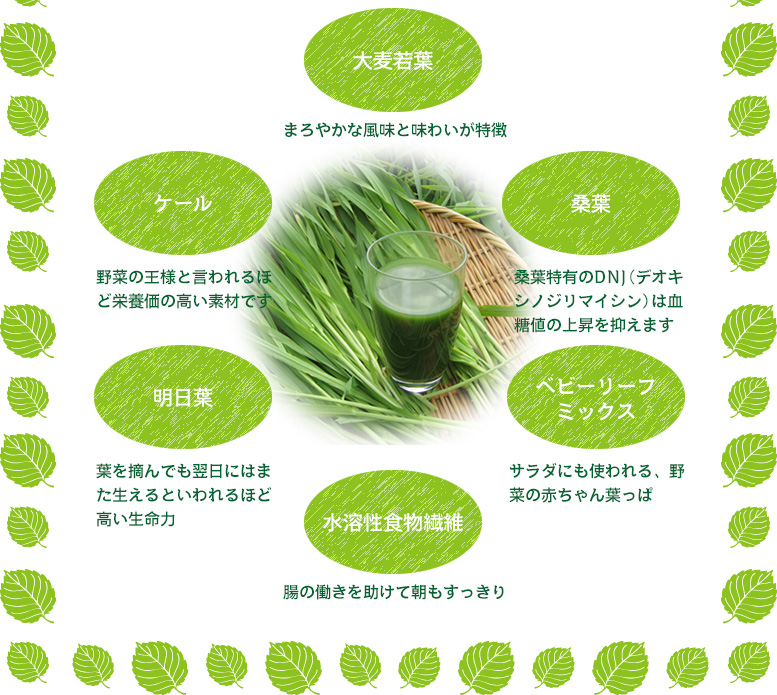 大麦若葉:まろやかな風味と味わいが特徴　桑葉:桑葉特有のDNJ（デオキシノジリマイシン）は血糖値の上昇を抑えます　ベビーリーフミックス:サラダにも使われる、野菜の赤ちゃん葉っぱ　水溶性食物繊維:腸の働きを助けて朝もすっきり　明日葉:葉を摘んでも翌日にはまた生えるといわれるほど高い生命力　ケール:野菜の王様と言われるほど栄養価の高い素材です