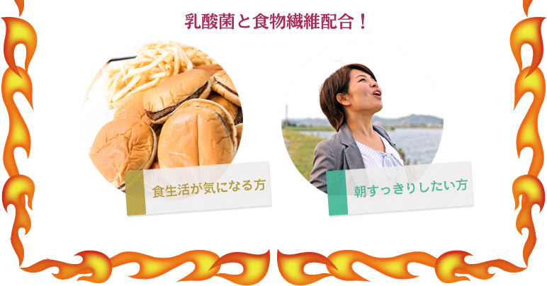 乳酸菌と食物繊維配合！食生活が気になる方　朝すっきりしたい方